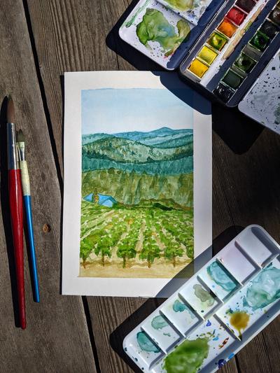 Plein air of the vineyard