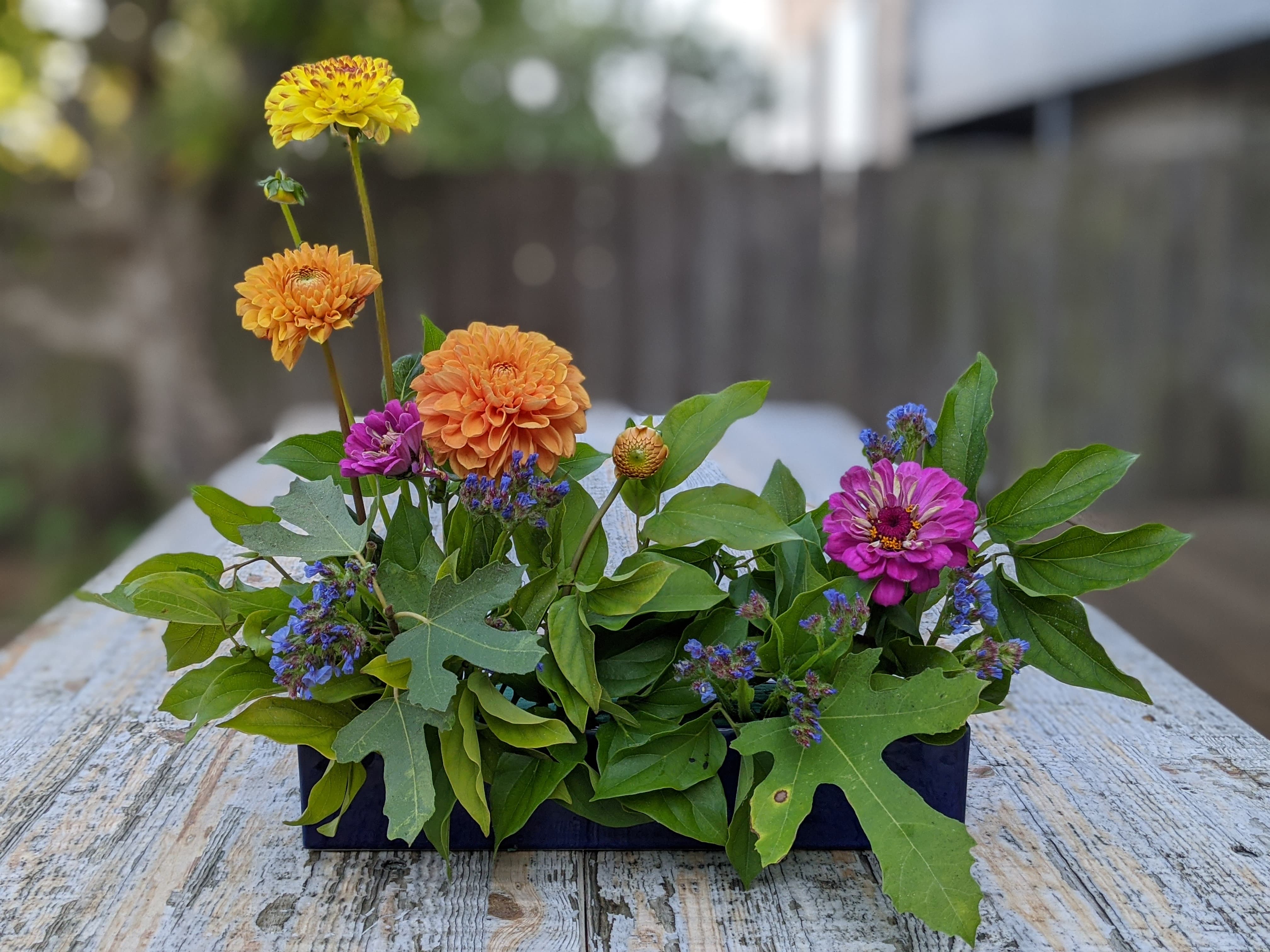 Freestyle ikebana